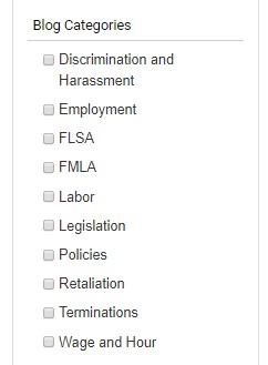 Blog Categories Option 2