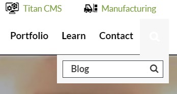 Searching for Blog on site