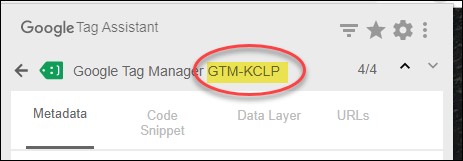 GTM container ID visual