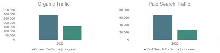 Organic traffic vs paid search traffic bar graph