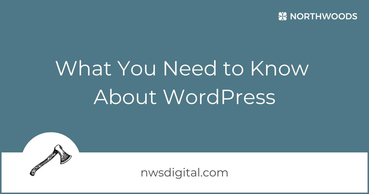 What You Need to Know About WordPress