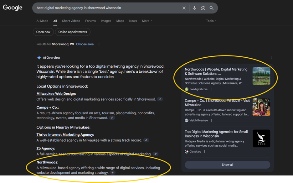 An example of an AI overview in Google
