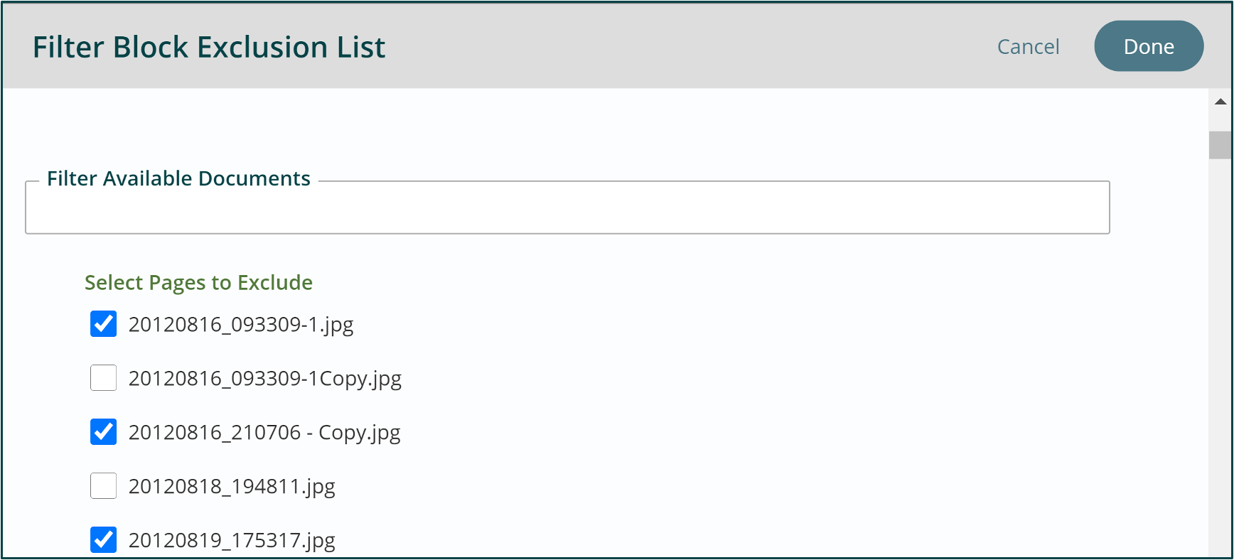 Filter Block Exclusion List check boxes
